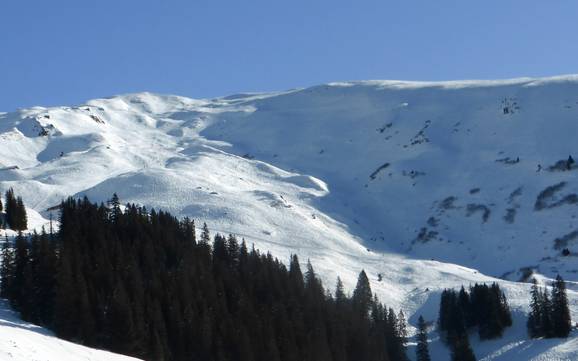Haslital: Grootte van de skigebieden – Grootte Meiringen-Hasliberg