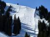Skigebieden voor gevorderden en off-piste skiërs Snow Card Tirol – Gevorderden, off-piste skiërs KitzSki – Kitzbühel/Kirchberg