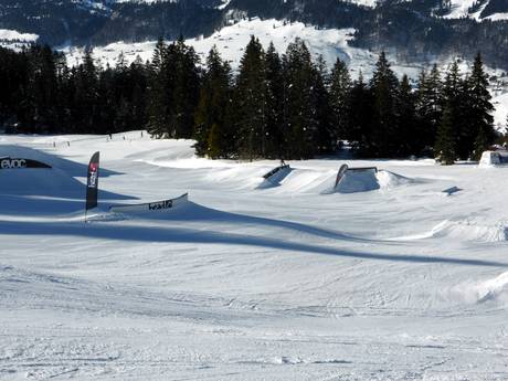 Snowparken Appenzeller Alpen – Snowpark Wildhaus – Gamserrugg (Toggenburg)