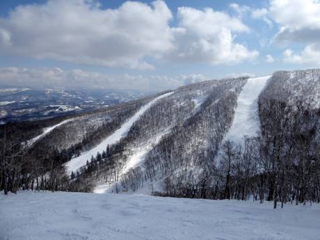 Skigebieden voor gevorderden en off-piste skiërs Azië – Gevorderden, off-piste skiërs Rusutsu