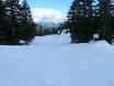 Skigebieden voor beginners in de metropool Vancouver – Beginners Cypress Mountain