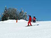 Skiles in het skigebied Mitterdorf