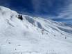 Skigebieden voor gevorderden en off-piste skiërs Australië en Oceanië – Gevorderden, off-piste skiërs Treble Cone