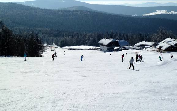 Skigebieden voor beginners in Almberg-Haidel-Dreisessel – Beginners Mitterdorf (Almberg) – Mitterfirmiansreut
