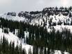 Skigebieden voor gevorderden en off-piste skiërs Colorado – Gevorderden, off-piste skiërs Snowmass