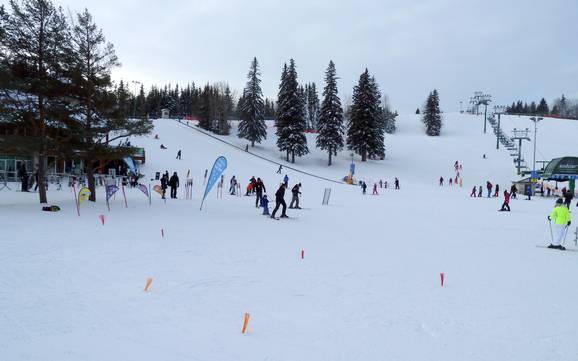 Skiën in de regio Edmonton Capital
