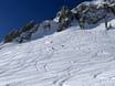 Skigebieden voor gevorderden en off-piste skiërs Rocky Mountains – Gevorderden, off-piste skiërs Snowbird