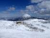 Azië: beoordelingen van skigebieden – Beoordeling Niseko United – Annupuri/Grand Hirafu/Hanazono/Niseko Village