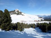 Buckelpiste met uitzicht op de Weißhorn