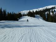 Piste bij de Sattelkurvenlift