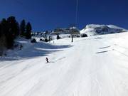 Ook steile hellingen worden perfect geprepareerd.