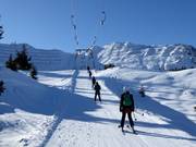 Arvenis - Pannenkoeklift