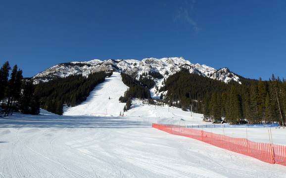 Grootste skigebied in de Sawback Range – skigebied Mt. Norquay – Banff