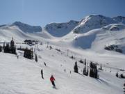De pistes op Whistler Mountain