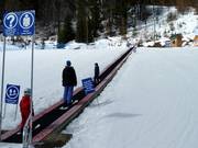 Owlette Magic Carpet - Transportband