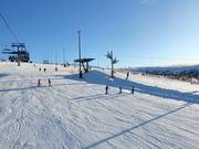 Gemakkelijke en brede piste Familjebacken in Hundfjället