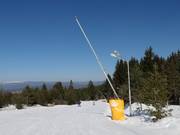 Krachtige besneeuwing van de dalafdaling naar Bansko