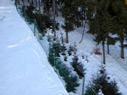 Herbebossingsgebieden mogen niet betreden worden