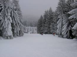 Bocksberg – Hahnenklee