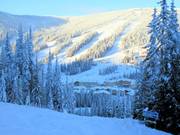 Uitzicht op het Sun Peaks Village