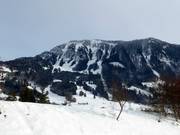 Uitzicht op de Grünten