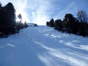 Buckelpiste Jochgrimm