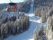 Makkelijke dalafdaling, ideaal voor beginners