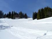 Schwarzenbergafdaling