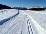 Hoogteloipe bij de Rollepas