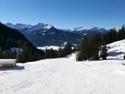 Dalafdaling Oberstdorf