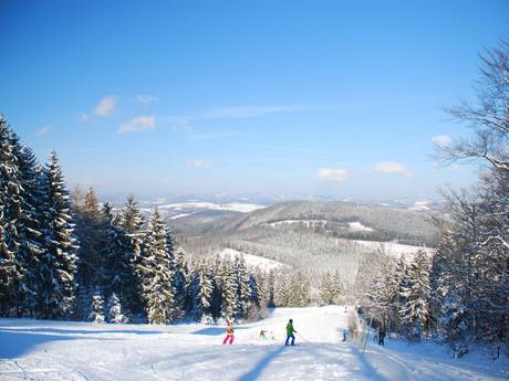 Olpe: milieuvriendelijkheid van de skigebieden – Milieuvriendelijkheid Hohe Bracht – Lennestadt