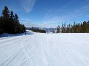 Makkelijke piste in het skigebied Hafjell