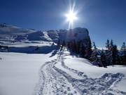 Tip voor de kleintjes  - Winterwandeling Triassic Park