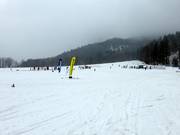 Hirschzwergland en Muli 1