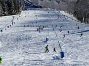 Lanzenbesneeuwing in Wegscheid