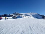Uitzicht op de pistes bij Croix de la Chaux (Gryon)