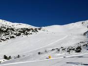 Makkelijke Pfnatschpiste