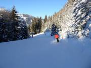 Dalafdaling Silbertal