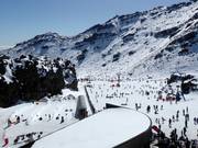 Tip voor de kleintjes 