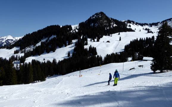 Grootste skigebied in de vakantieregio Gstaad – skigebied Rinderberg/Saanerslochgrat/Horneggli – Zweisimmen/Saanenmöser/Schönried/St. Stephan