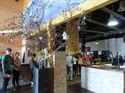 Ingangsgebied Alpincenter Bottrop