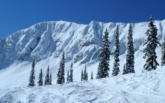 Grootste hoogteverschil in de Canadian Rockies – skigebied Fernie