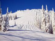 Buckelpistes vanaf het bergstation van de Crystal Chair