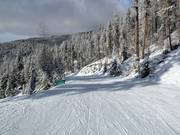 Zeer eenvoudige piste voor beginners