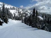 Gemakkelijke piste Village Way