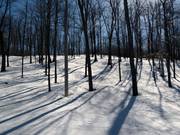 Een plezier voor de gevorderden zijn de Gladed Runs