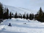 Mountain Dew Junior Park