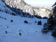 De zwarte wereldbekerafdaling