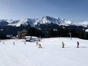 Gemakkelijke piste bij de Heidlift