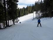 Gemakkelijke bosafdaling